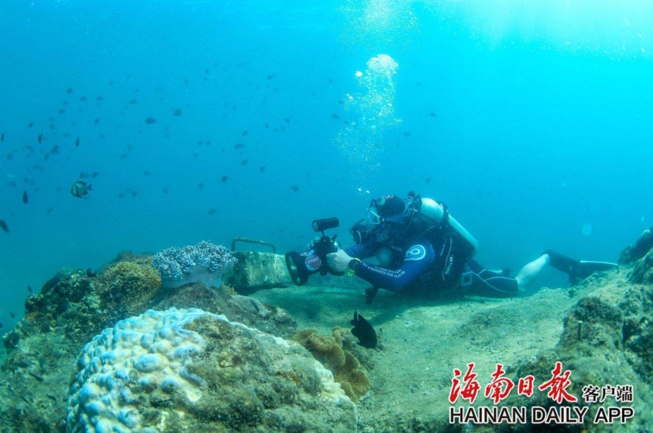 有问必答平台-二建查挂靠安徽解答专家